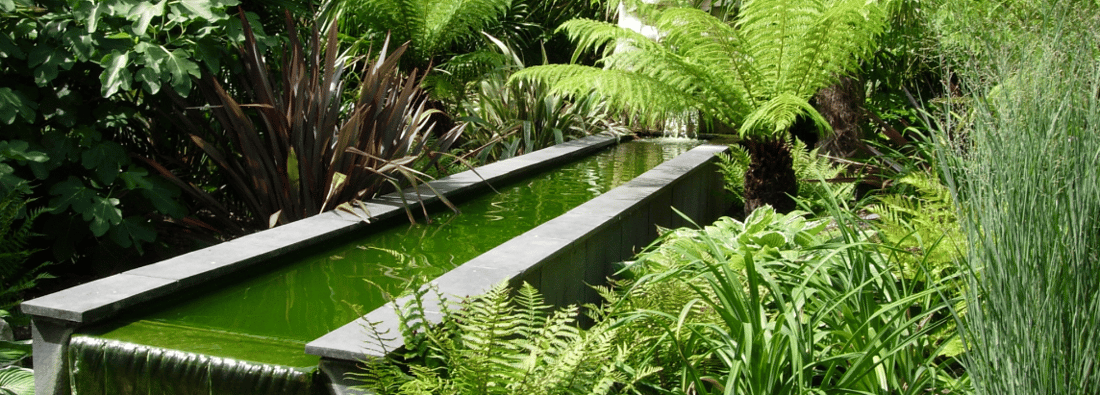 Main header - "garden creations ltd"