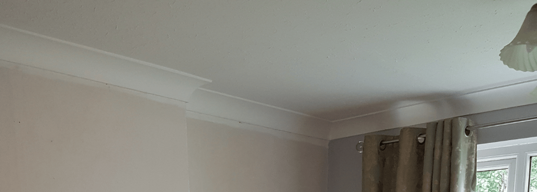Main header - "f jones professional painter, joiner and decorator - interior and exterior"