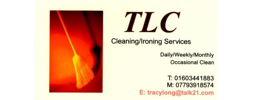 Main header - "TLC Cleaning/Ironing services"