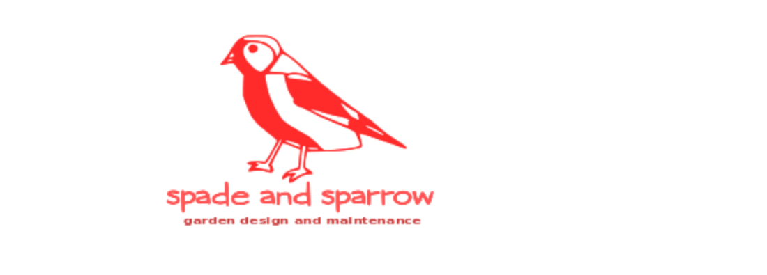 Main header - "Spade & Sparrow"