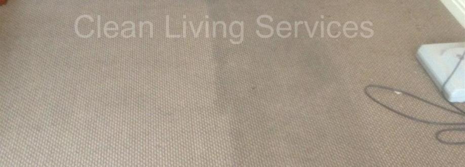Main header - "Clean Living Services"