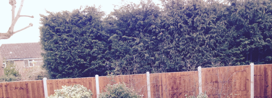 Main header - "BILLERICAY TREE, FENCING AND LANDSCAPE SERVICES"