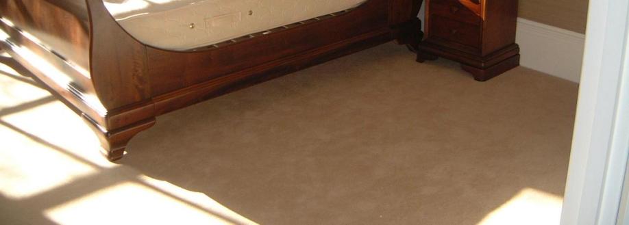 Main header - "Carpet & Flooring Specialist"