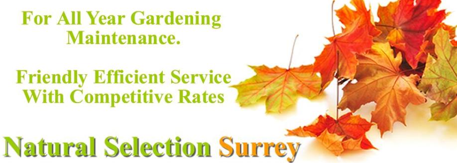 Main header - "Natural Selection Surrey LLP"
