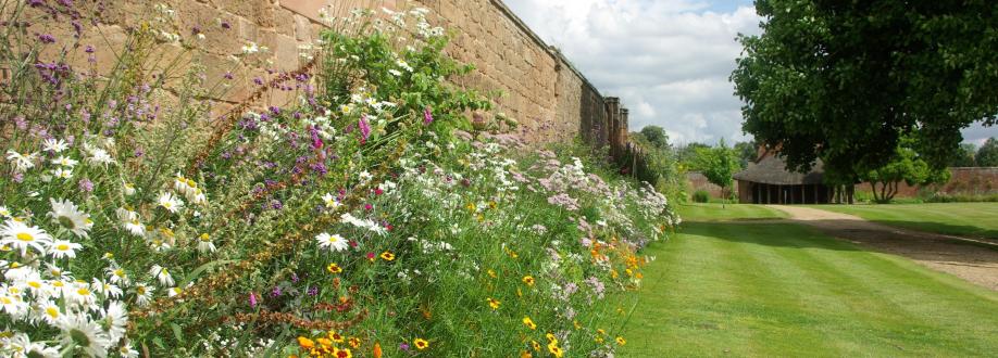 Main header - "Ed's Garden Maintenance"