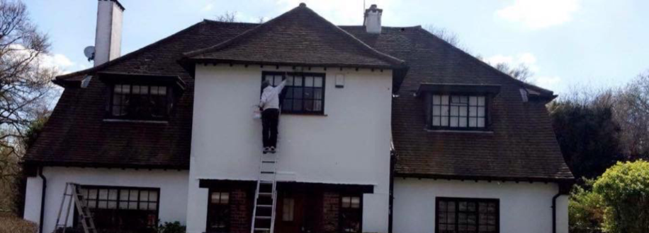 Main header - "S White Painter And Decorator"