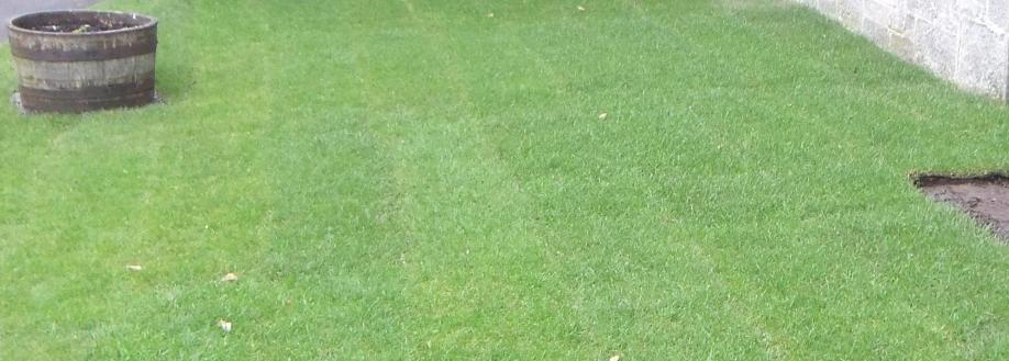 Main header - "The Gardening Mann"