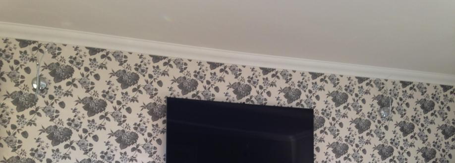 Main header - "M.T Painter & Decorators"