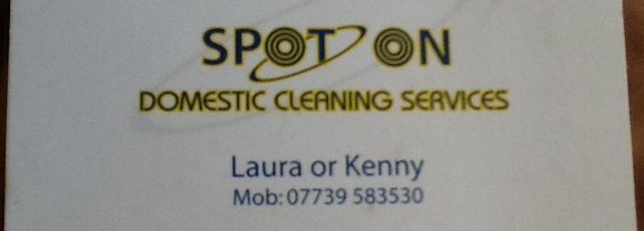 Main header - "Spot on domestic cleaning"