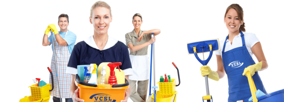 Main header - "Vale Cleaning Services Ltd"
