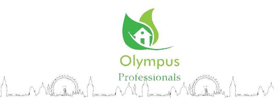 Main header - "Olympus Professionals"