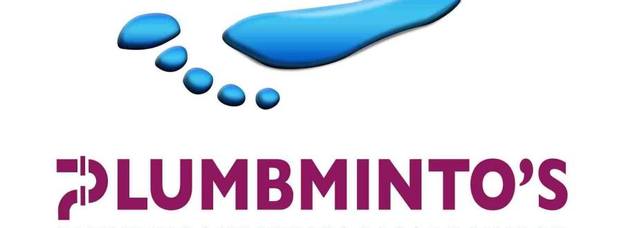 Main header - "Plumbminto's Ltd."
