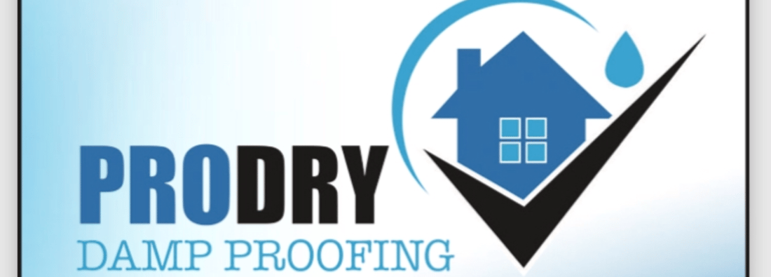 Main header - "PRO Dry Damproofing & Building"