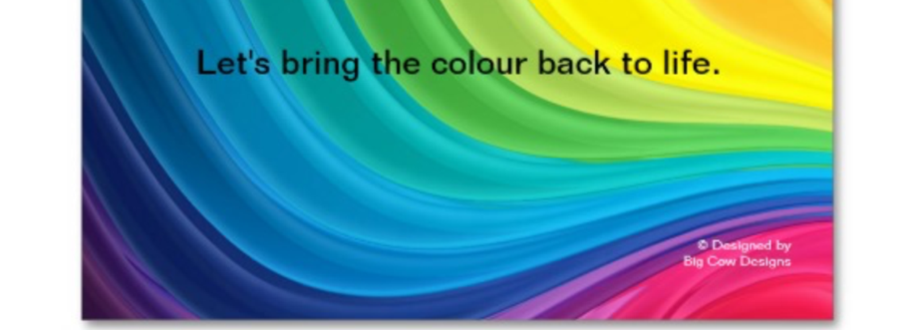 Main header - "Marcel Cotuna Painting Services LTD."