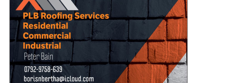 Main header - "PLB roofing services"