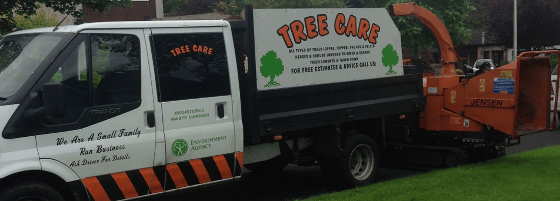 Main header - "First class tree care"
