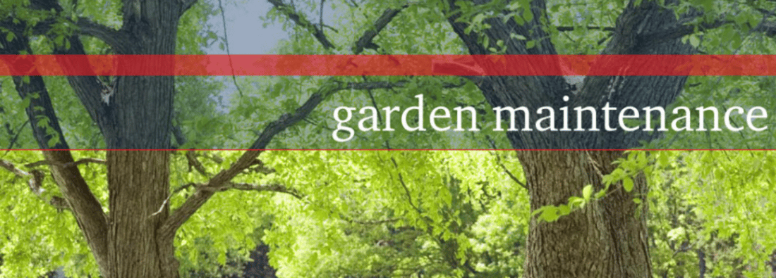 Main header - "M&T Garden cleaners"