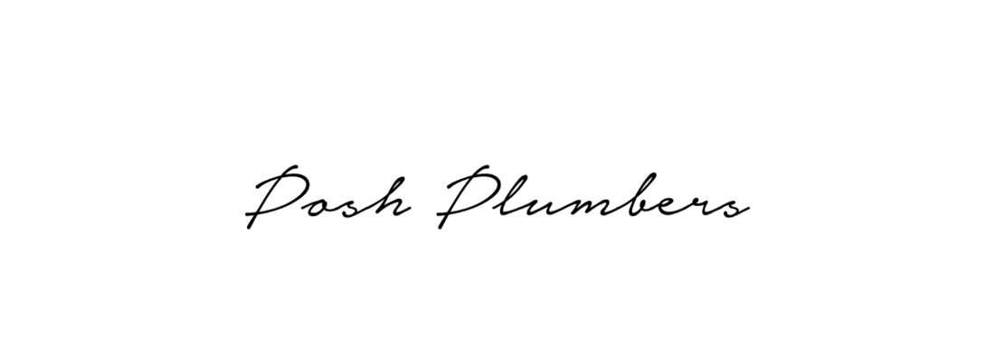 Main header - "The Posh Plumbers"