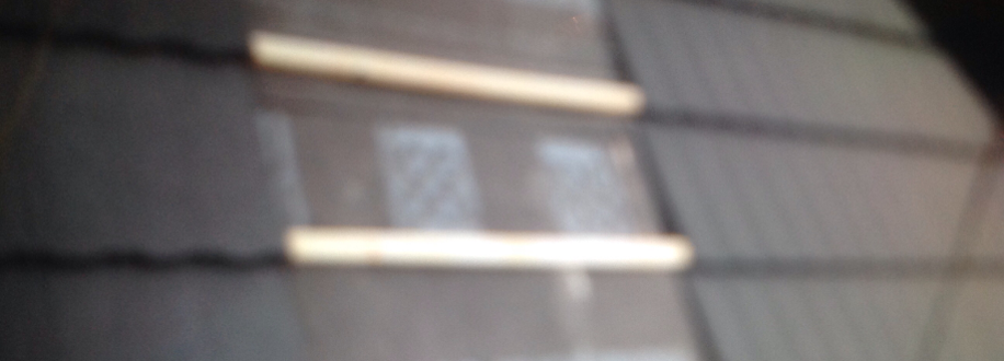 Main header - "snt"