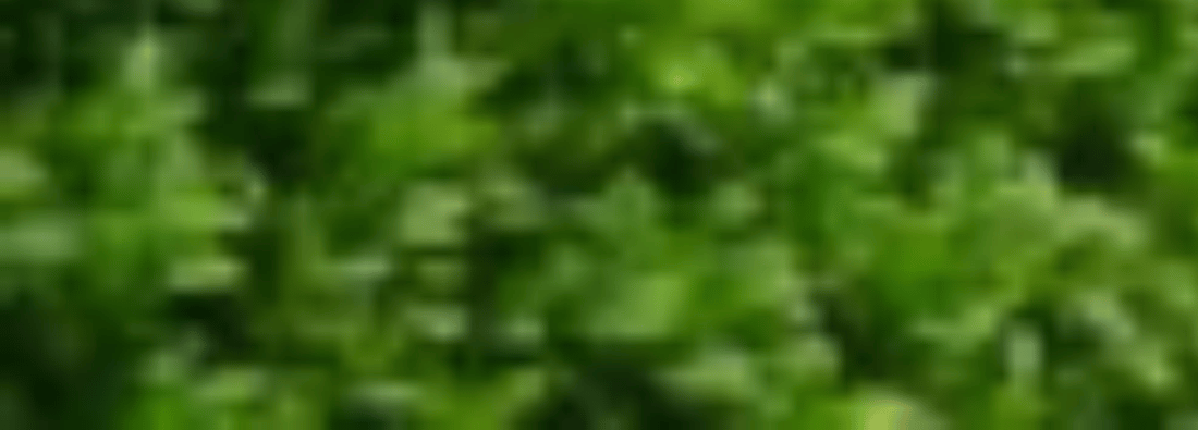 Main header - "South Garden Services"