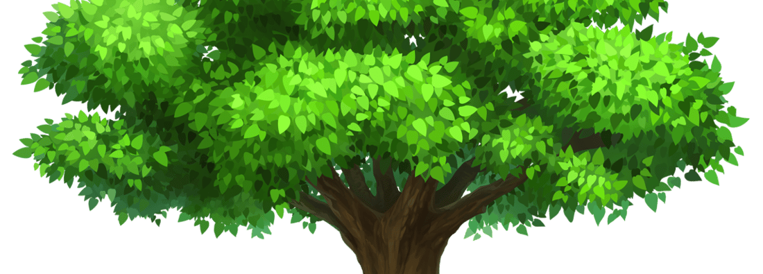 Main header - "Db Country Designs"