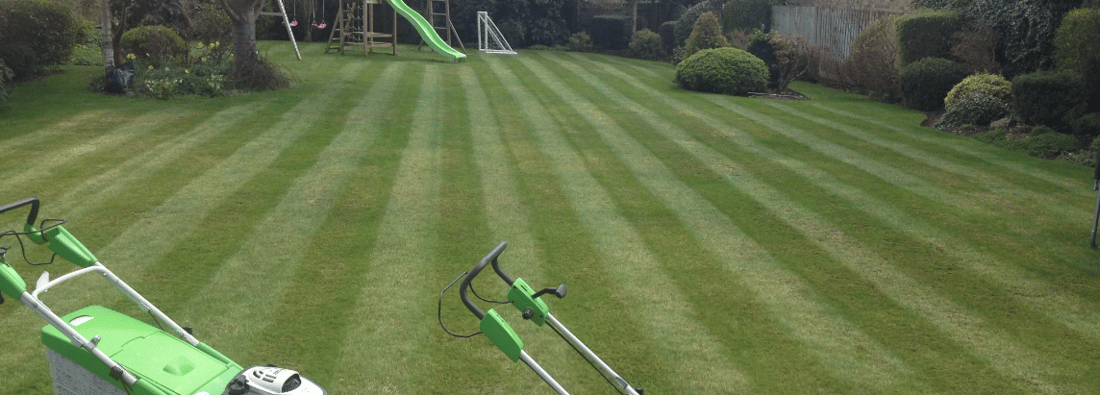 Main header - "Specialist Lawn Solutions"