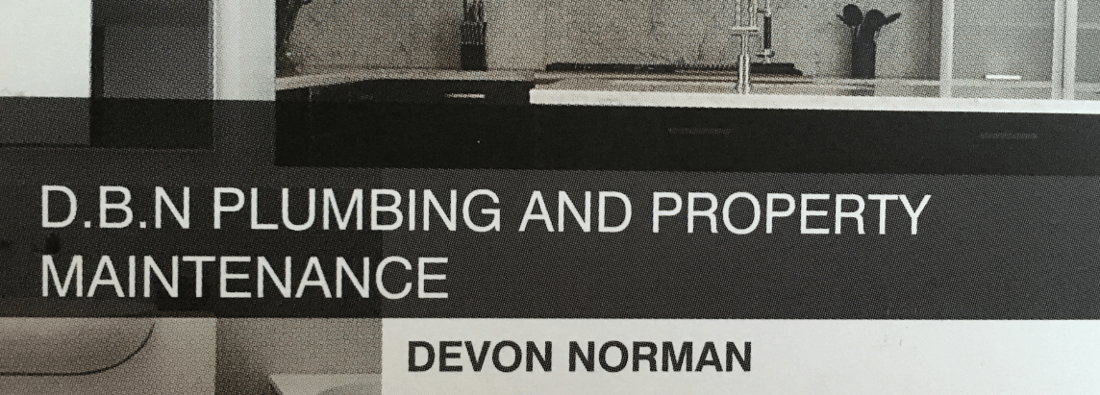 Main header - "dbn plumbing and property maintenance"