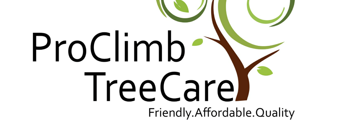 Main header - "ProClimb TreeCare"