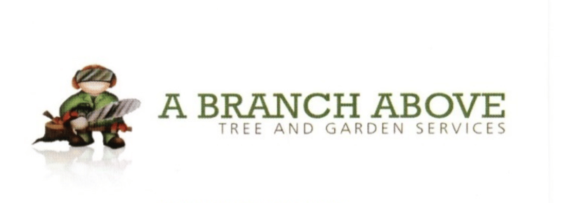Main header - "A Branch Above"