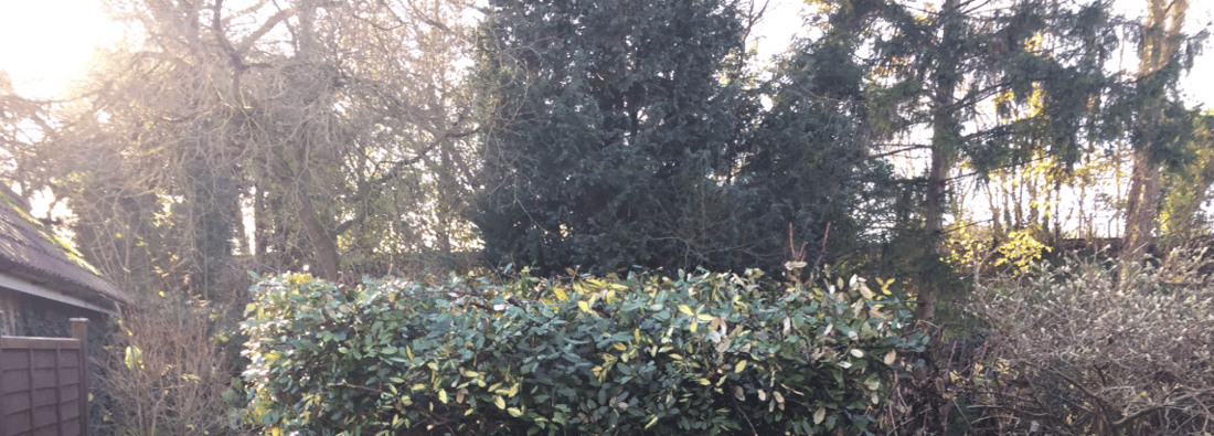 Main header - "Ashwood Landscapes"