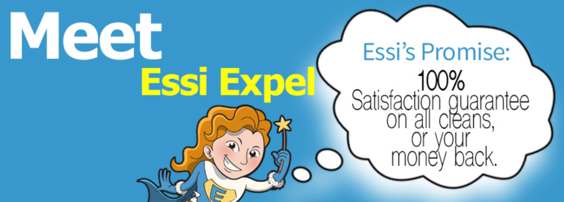 Main header - "Expel Cleaning Services"