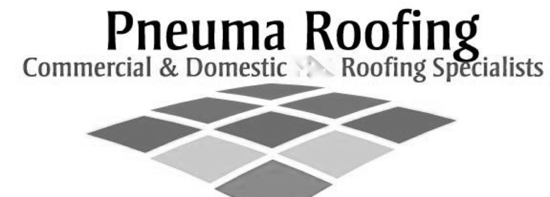 Main header - "Pneuma Roofing Limited"