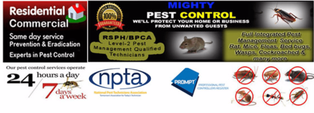 Main header - "Mighty Pest Control Limited"