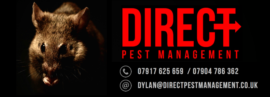 Main header - "Direct Pest Management"