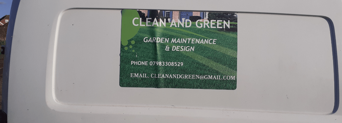 Main header - "Clean & Green"