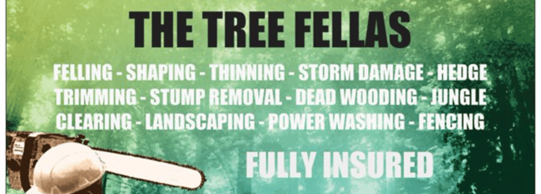 Main header - "The Tree Fellas NW Ltd"