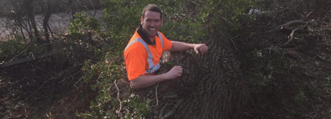 Main header - "Steven Parker Tree Surgery & Landscaping Services"