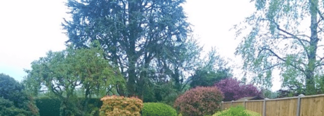 Main header - "JB Sims Garden Care"