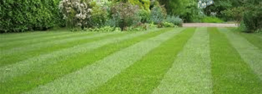 Main header - "Lichfield Lawn Cutting Services"