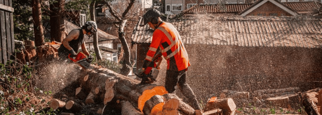Main header - "Tricky Timber"