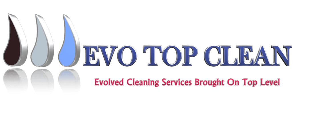 Main header - "EVO TOP CLEAN LIMITED"