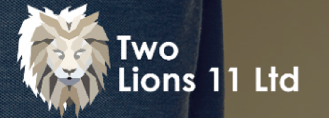 Main header - "TWO LIONS 11 LIMITED"