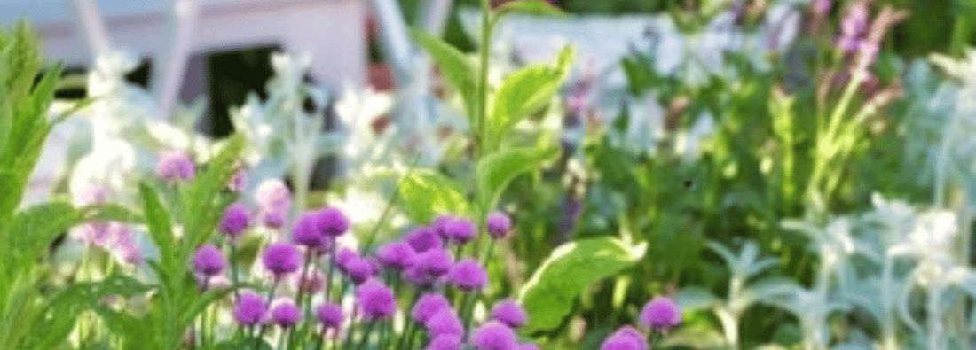 Main header - "CT-3 Gardens & Landscapes"