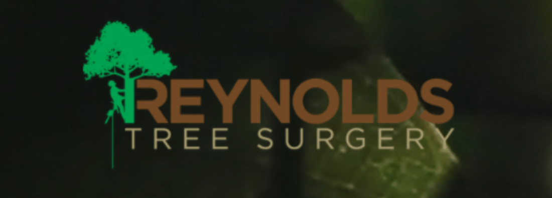 Main header - "Reynolds Tree Surgery"