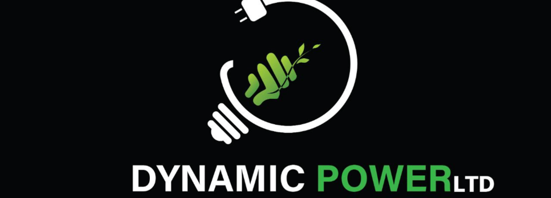 Main header - "DYNAMIC POWER LIMITED"