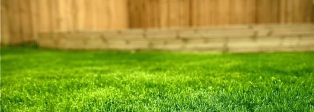 Main header - "Cut above tree services and landscaping"