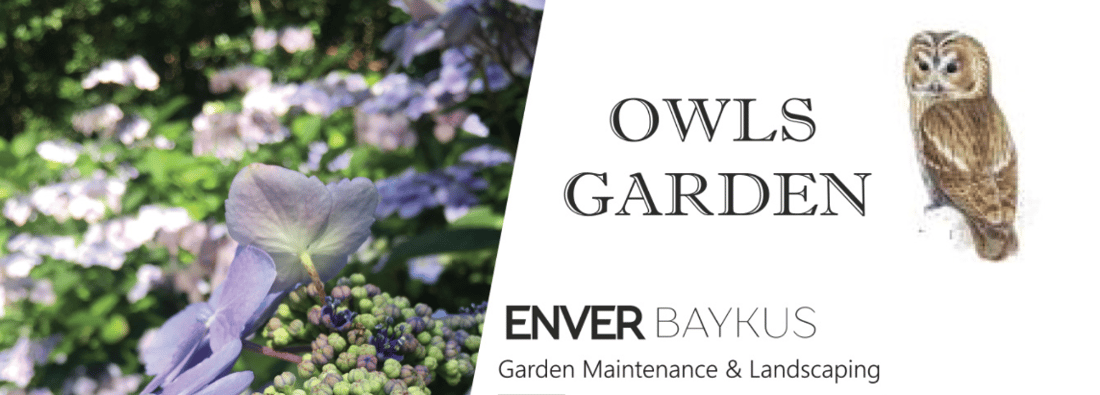 Main header - "Owls Garden Maintenance"