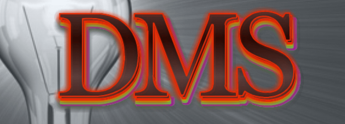 Main header - "D&M Solutions"