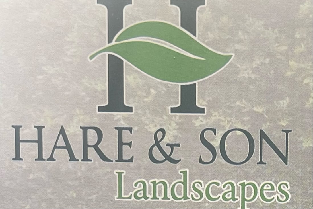 Main header - "Hare & Son"