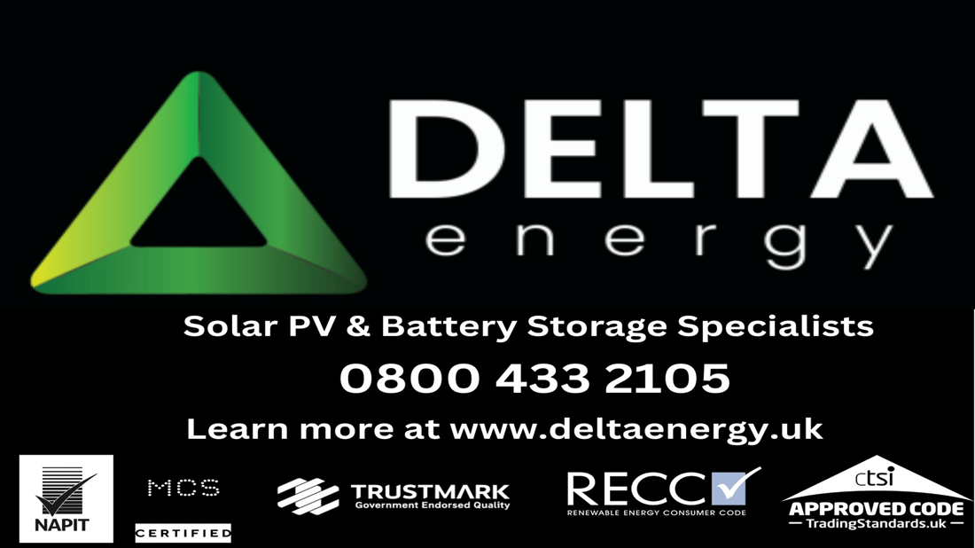Main header - "DELTA ENERGY SOLUTIONS LIMITED"